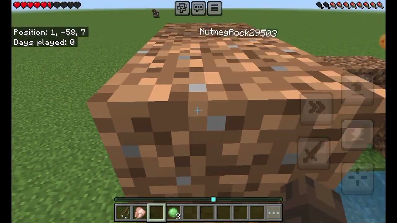 Minecraft but I can only fish