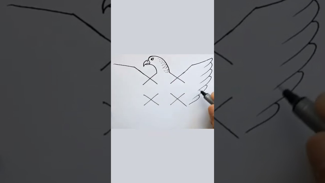 Eagle Drawing OMG easy Trick 🦅#shorts #satisfying