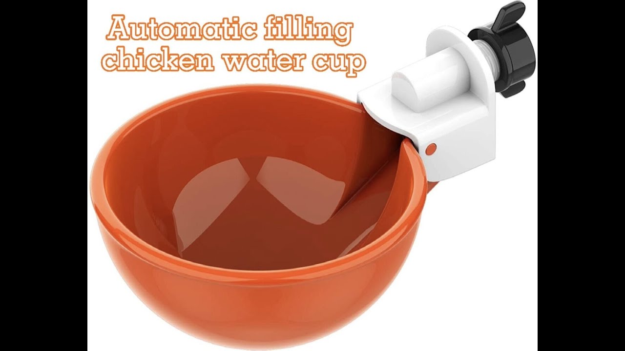 Automatic filling chicken water cup