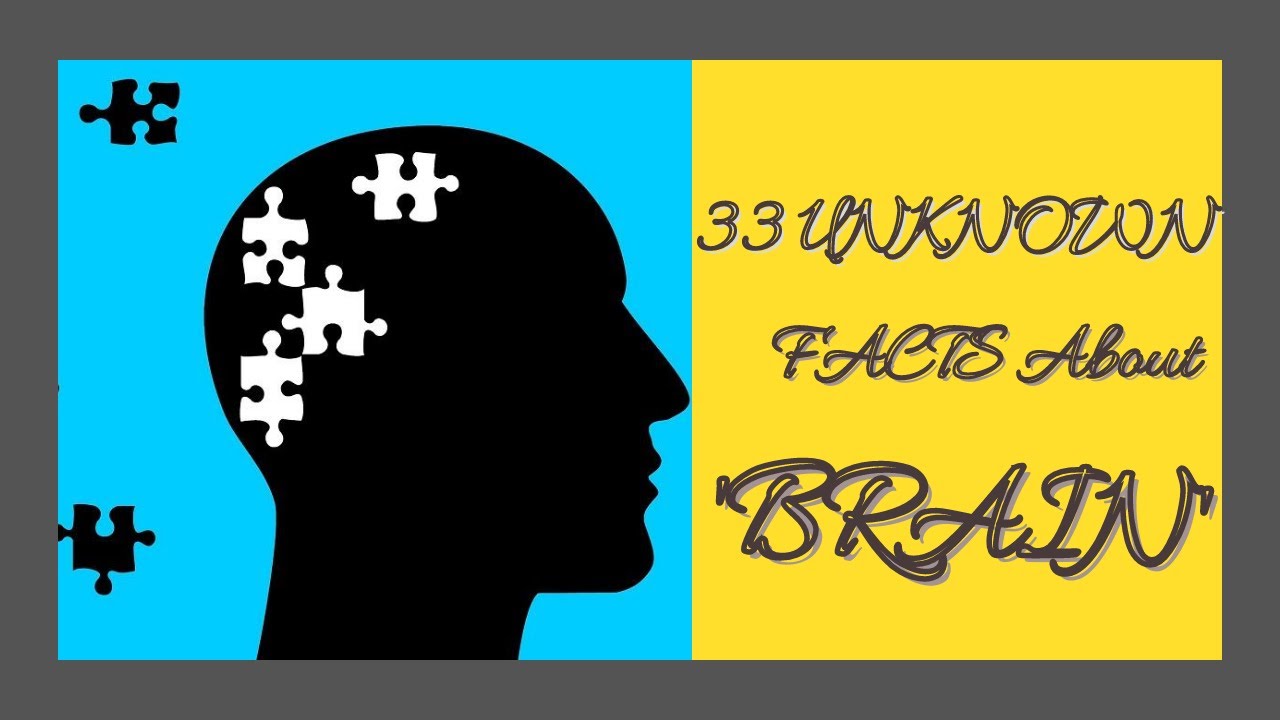 33 UNKNOWN FACTS About 'BRAIN'  | Human Brain