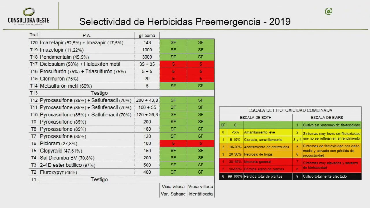 Seminario Online: Red de Cultivos de Servicios - Pedro Telechea