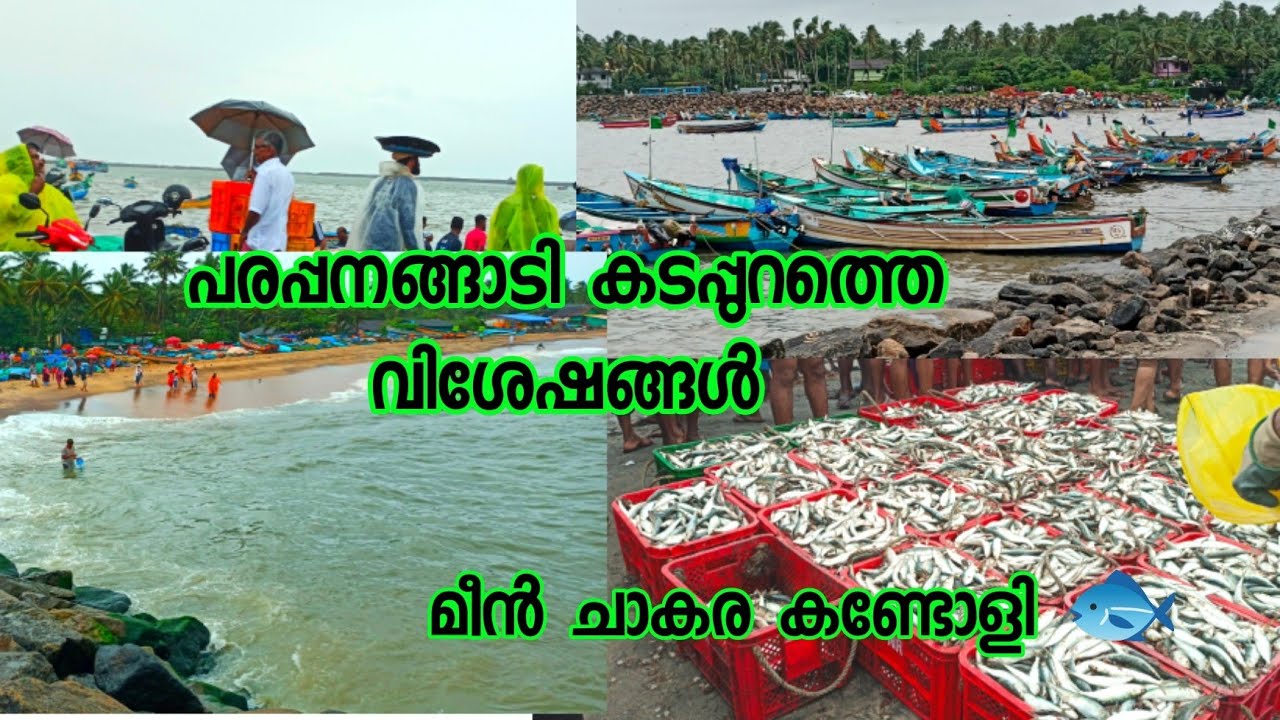 പരപ്പനങ്ങാടി കടപ്പുറത്തെ വിശേഷങ്ങൾ  കണ്ടോളി #parappanangadi beach