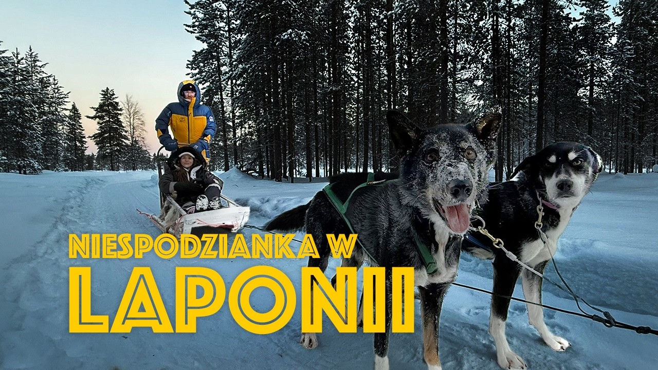 Zabrałem Narzeczoną na Niespodziankę do Laponii