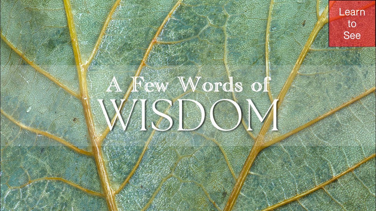 Intimate Landscape Photography | A few Words of Wisdom