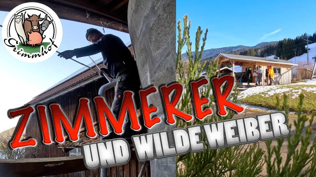 FarmVLOG#224 - Zimmermannsarbeiten und wilde Weiber