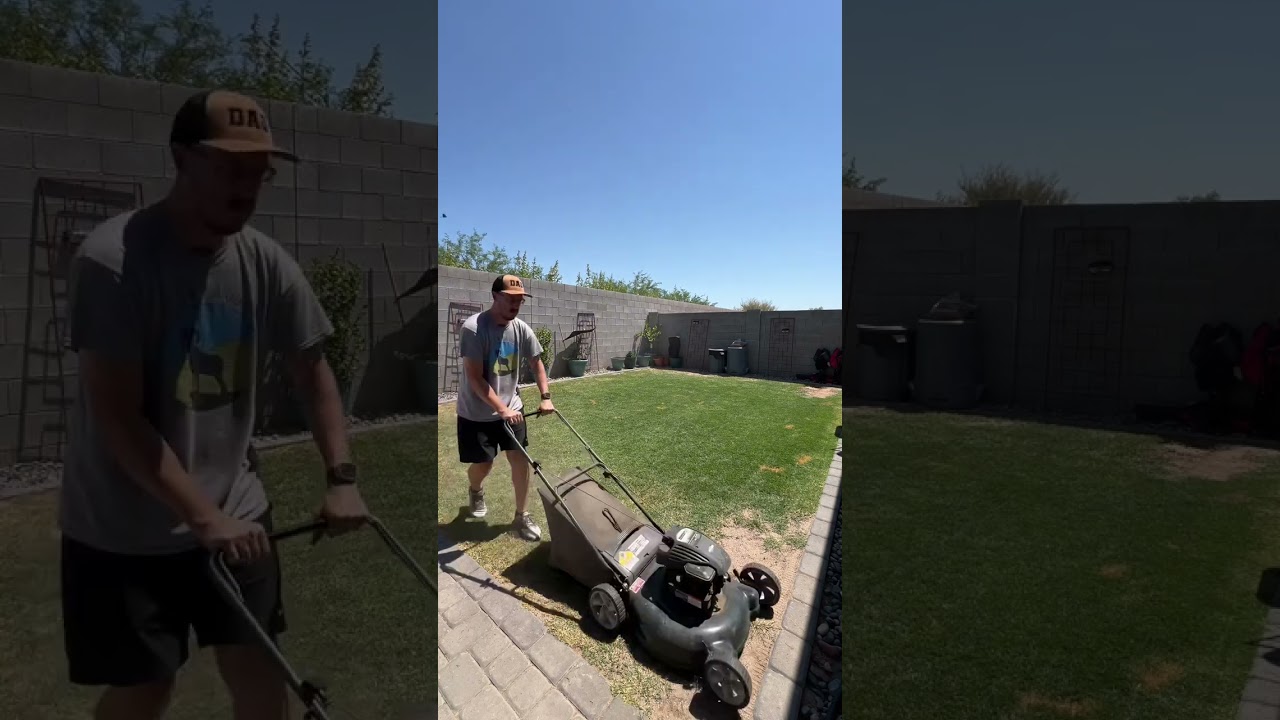 Post Monsoon Storm Mow! #monsoon #mowing #lawn #lawncare #diy #diydad #yardwork #lawnfluencer #dog