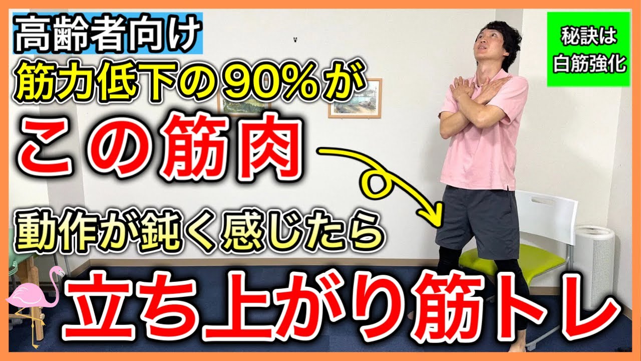 【高齢者の筋力低下】高齢になると真っ先に低下する瞬発力を担う白筋を鍛えてフレイルを予防する立ち上がりトレーニングと5つの筋トレ