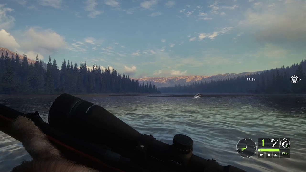 Chasse au Grizzly