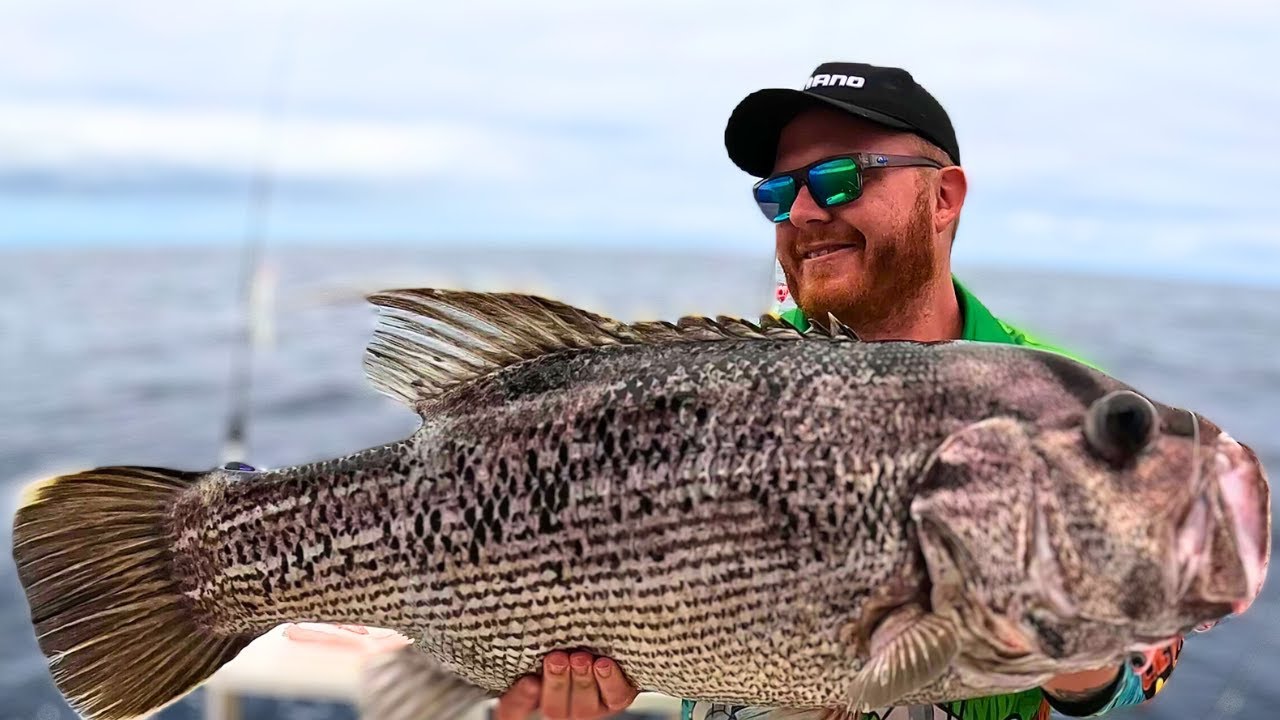 BIG Angry Dhu fish & Snapper with Angry Oceanz!! ONE OF MY BEST DAYS FISHING!