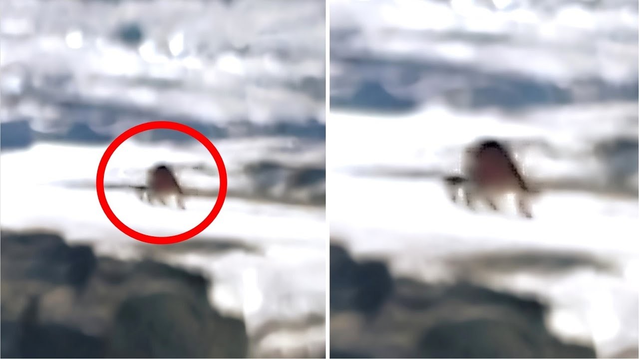 The Most Scary And Unexplained Things Encountered By The Navy