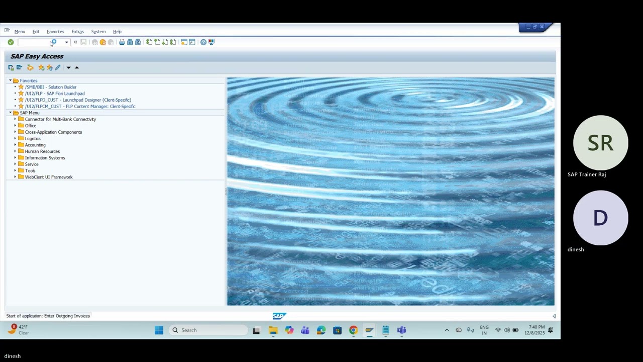 SAP SD Training Class 53