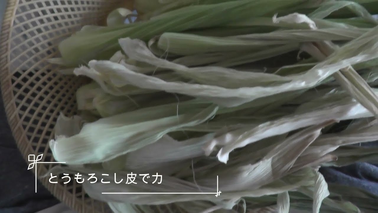 とうもろこしの皮でカゴ編み　収穫したとうもろこしの皮で　なかなかうまくいかないけど