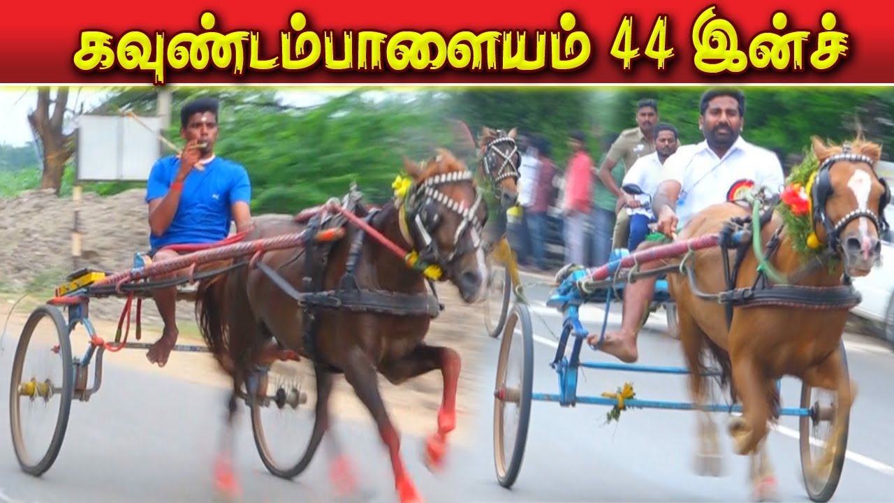44inch குதிரை கவுண்டம்பாளையம் கோவை  மா 18/12/2022  44inch kuthirai covai ksk rekla race tn rekla