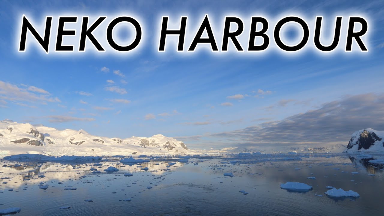Neko Harbour