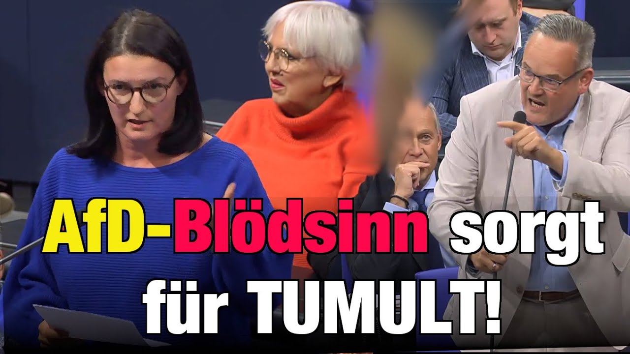 Gr&uuml;nen-Politikerin liefert sich mit AfD-Mann Schlagabtausch Aktuelle Debatte 05.11.25
