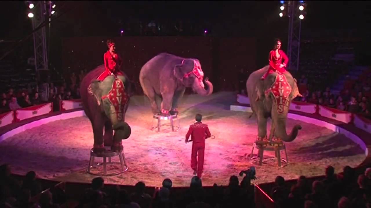 Impressionen - Karlsruher Weihnachtscircus 2009