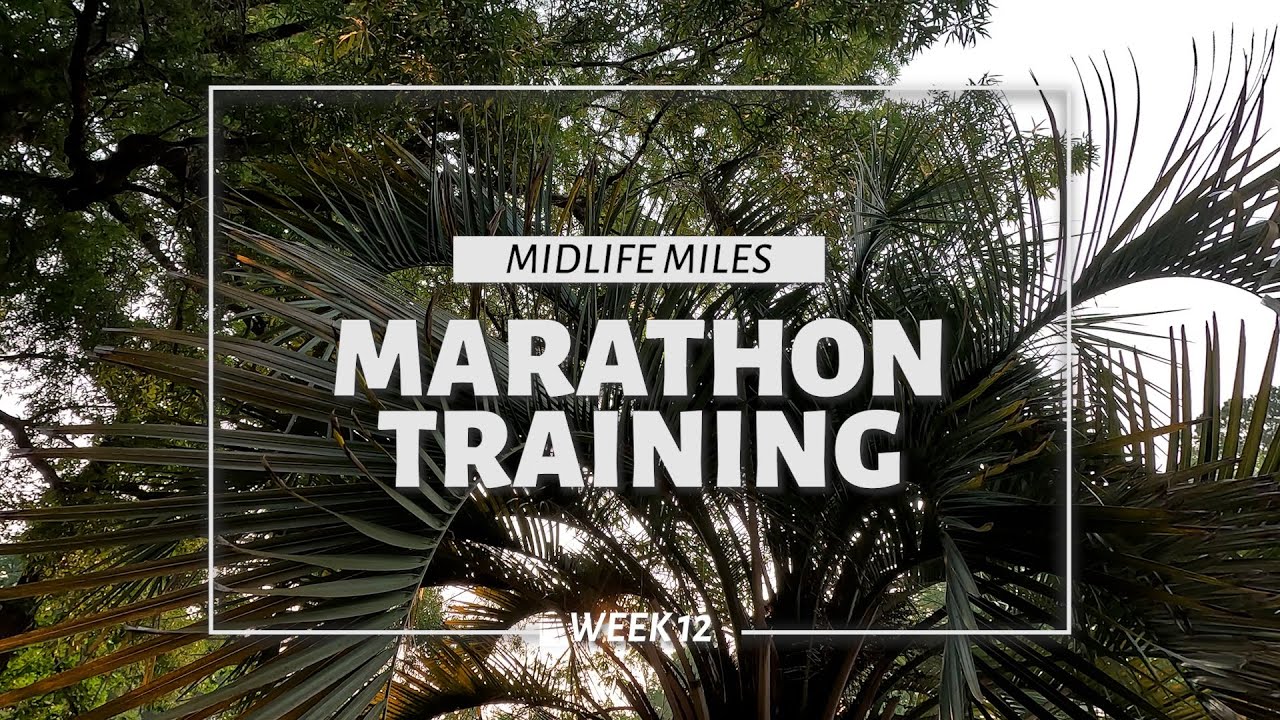 Trust the Training, and Try Not to Cry
