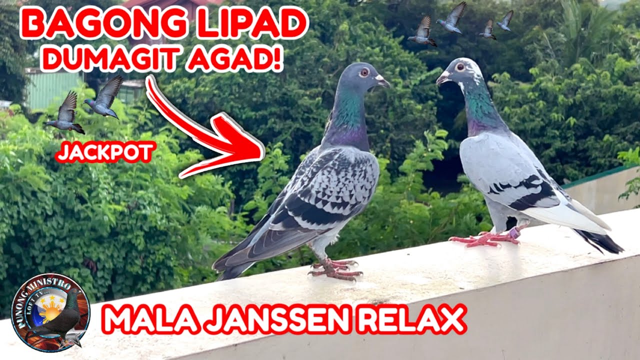 EP1115 JACKPOT GANDA NG DAGIT NI MALA JANSSEN RELAX!