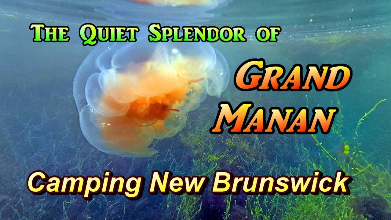 The Quiet Splendor of Grand Manan: Camping New Brunswick