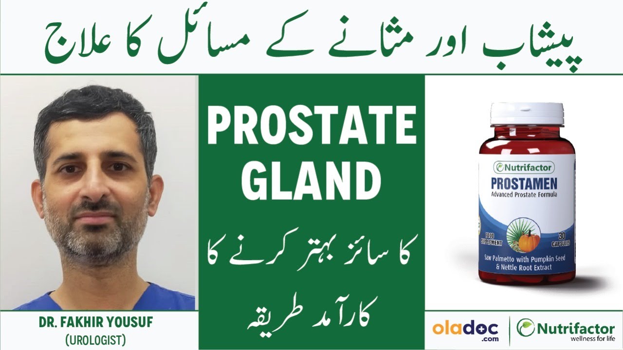 Prostate Gland And Urinary Problems- Prostate Size -Peshab Ke Masail Ka Ilaj- Nutrifactor Prostamen