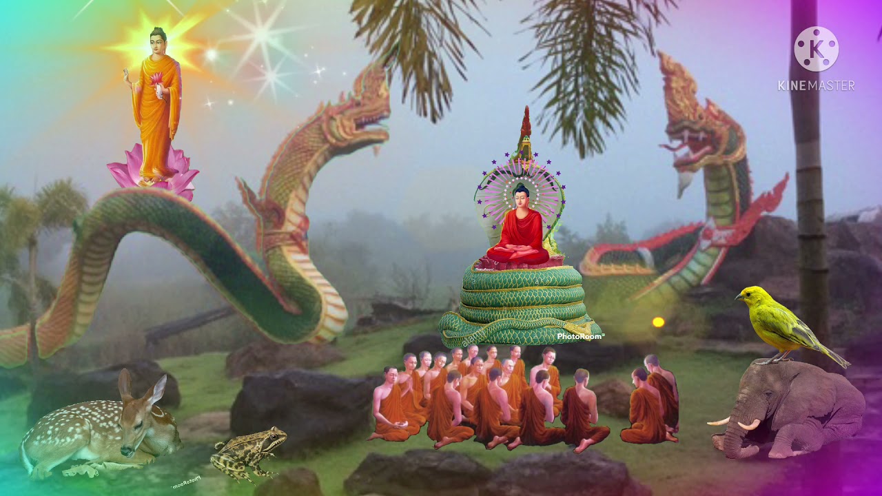 Buddha my Karen