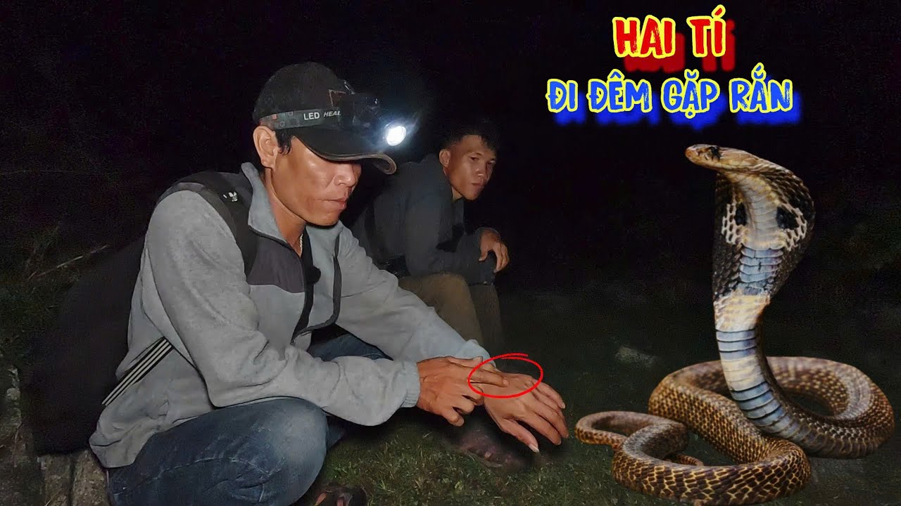HAI TÍ đi đêm bị rắn cắn, NỬA ĐÊM lang thang ở rừng gặp RẮN - tập 1201