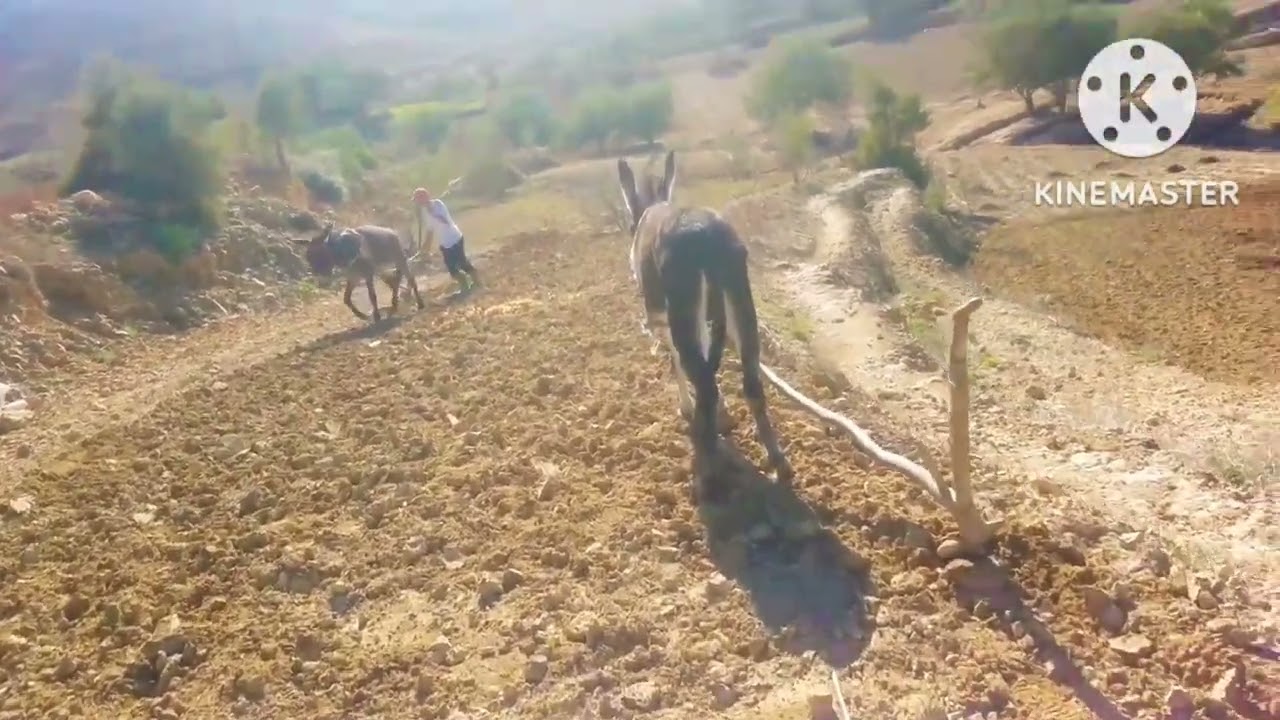أيت عيسي إحاحان