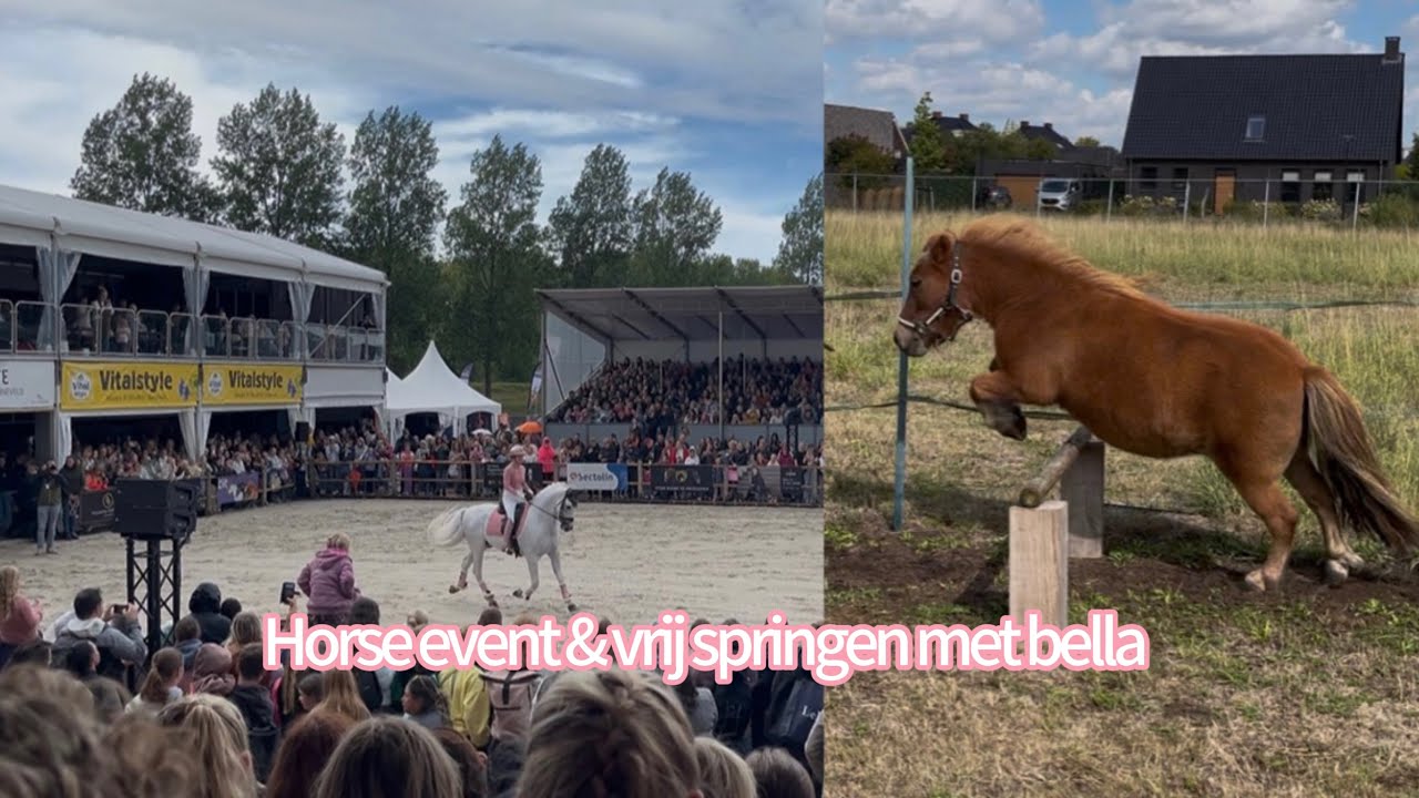 Horse event & vrijspringen met bella / vlog 53