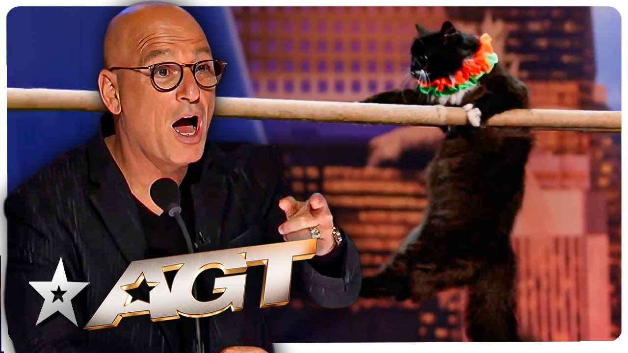 WILDEST Animal Auditions EVER on America's Got Talent!