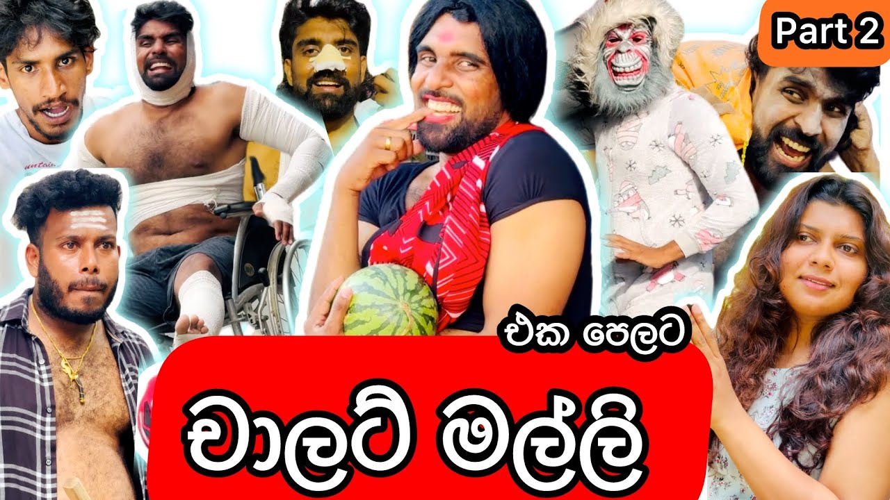 චාලට් මල්ලි ( එක පෙලට part 2 ) 😉 - chalat malli - චාලට් මල්ලි