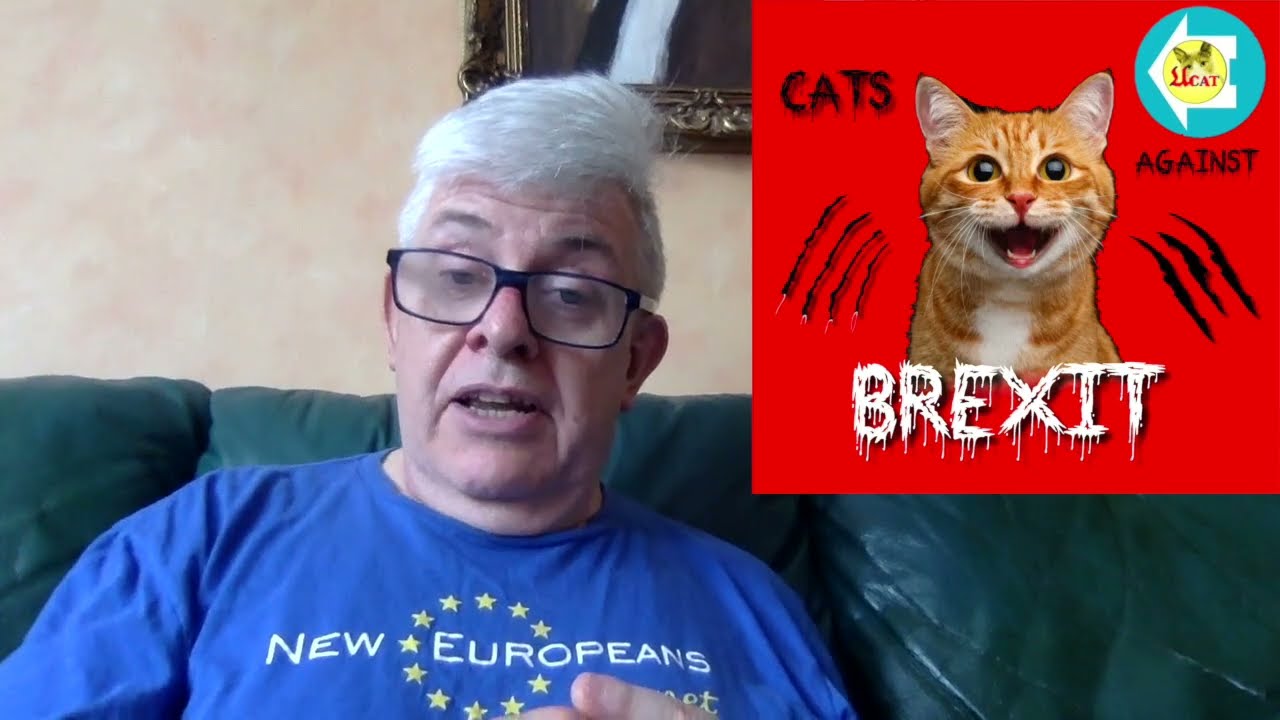 Campaign video - Remove a Brexit Tory MP from office