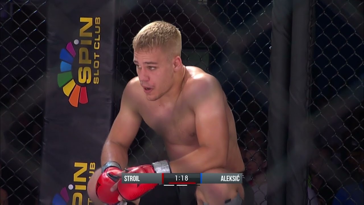 MMA LIGA SRBIJE / Aleksić - Stroil