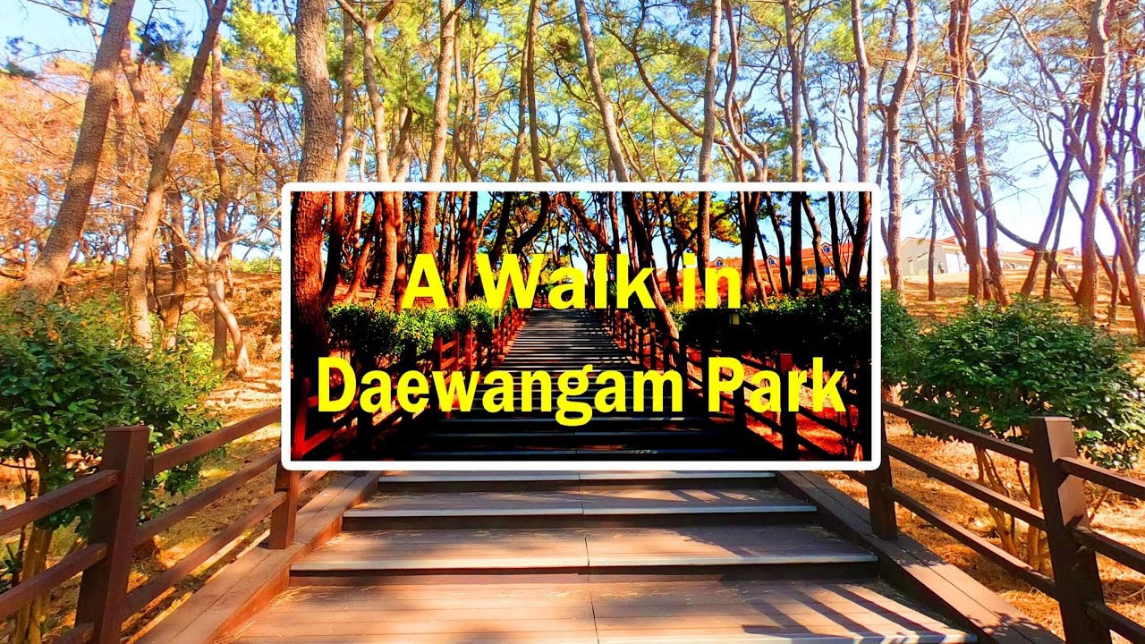 Walking up to Daewangam Park II Ulsan City Korea🇰🇷