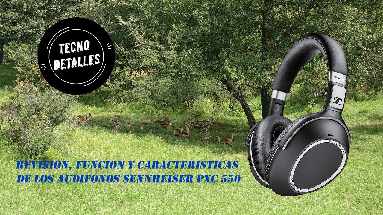 Revision Funcion y Caracteristicas de los Audifonos Sennheiser PXC 550 en Español
