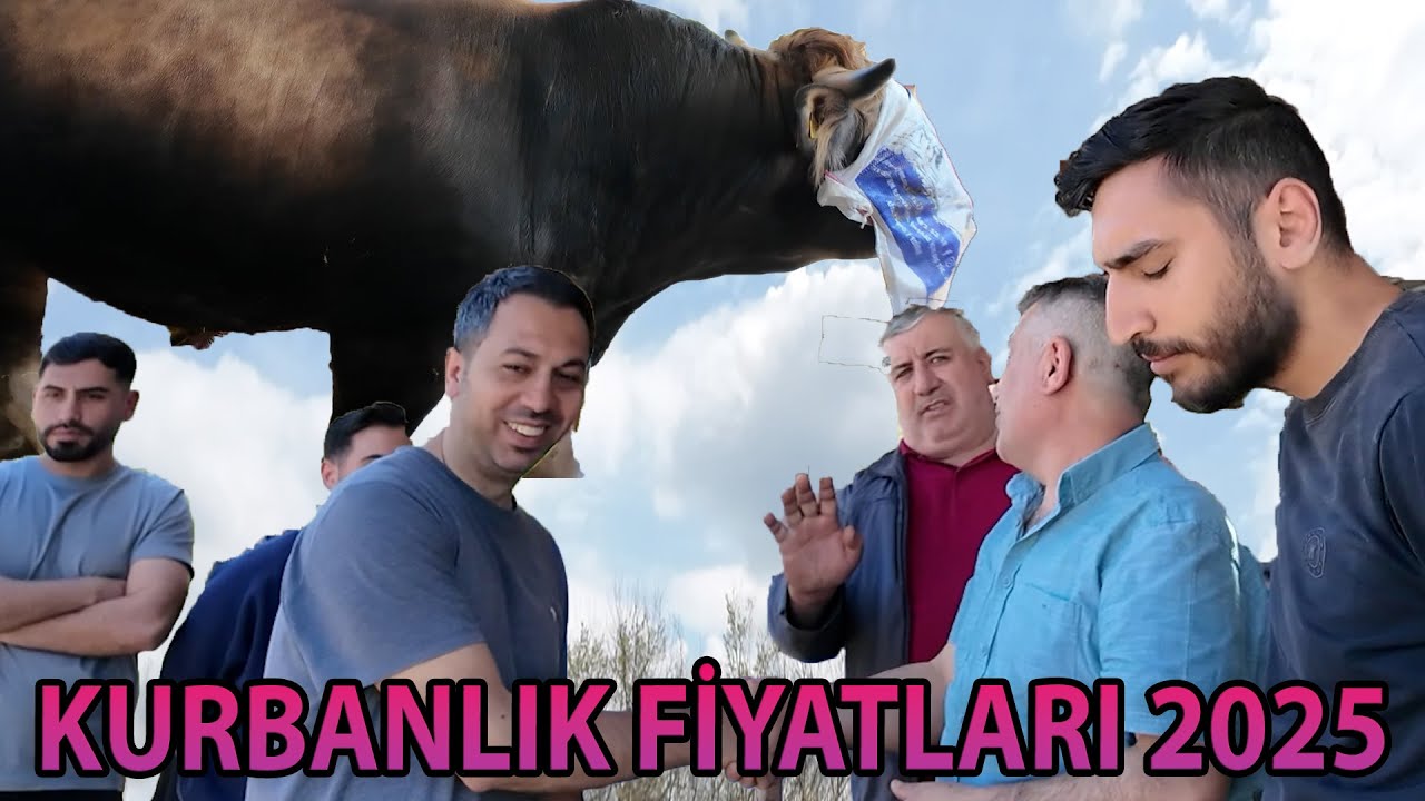 247.500 TL / 248.000 TL / KURBANLIK FİYATLARI BİZDE BELLİ OLDU 2025