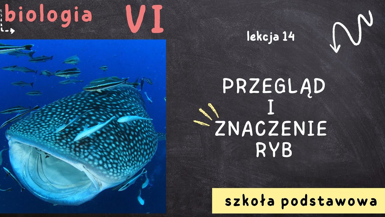 Biologia klasa 6 [Lekcja 14 - Przegląd i znaczenie ryb]