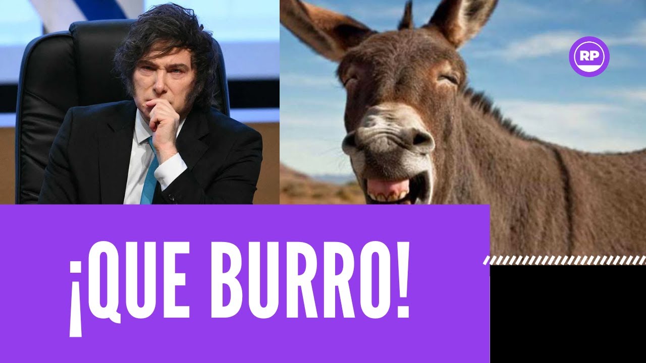 ¡PERO QUE IGNORANTE, PONGANLE UN 0! Milei cometió una brutal borrada