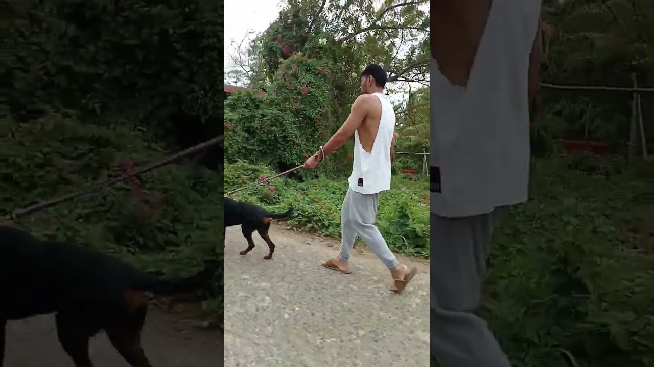 nag walking si kraken mga kaesyot