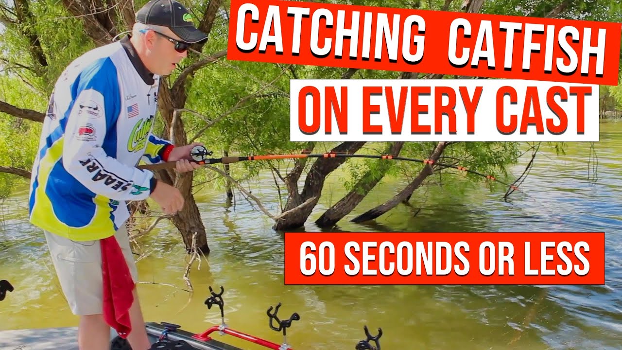 Catch Catfish In 60 Seconds Or Less (EVERY CAST)