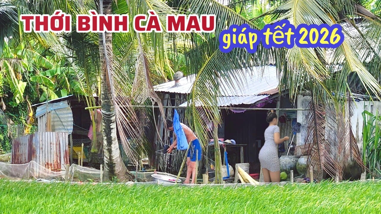 Vùng Quê Thới Bình Cà Mau: Bất Ngờ Bà Con Sống Yên Bình Đến Lạ Thường Ngày Cận Tết 2026