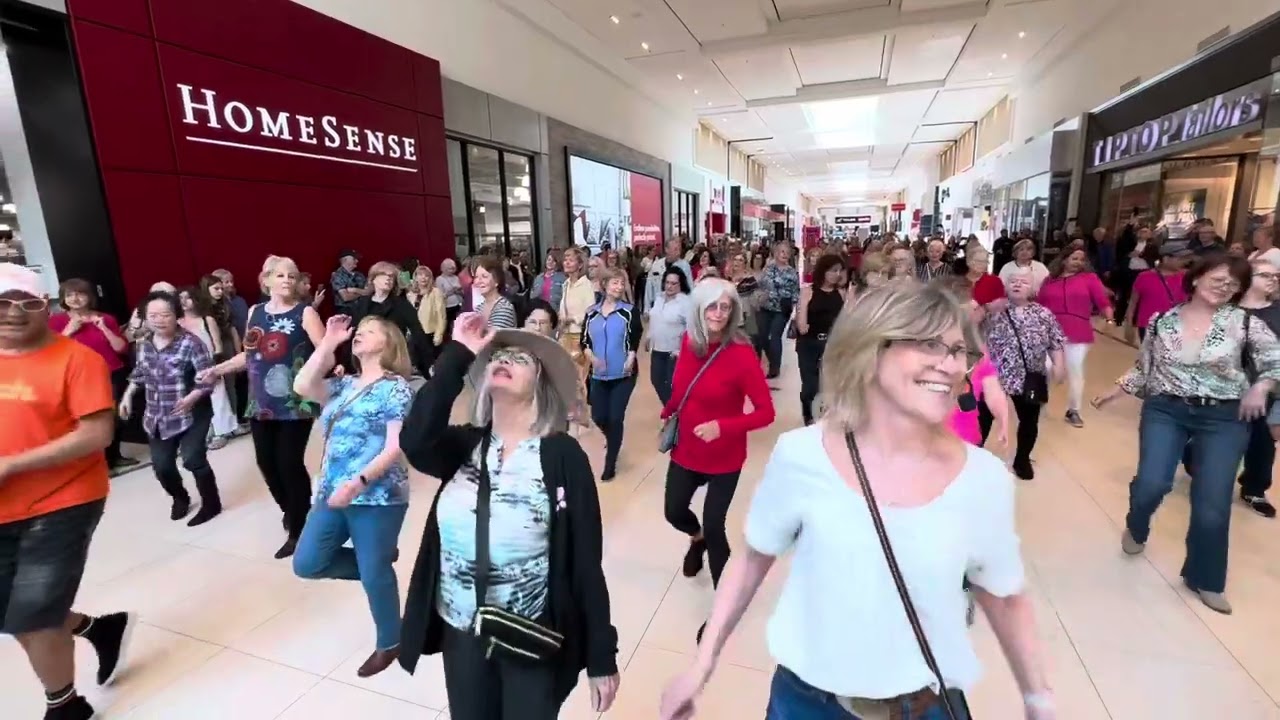 When You’re Drunk - Flashmob 2024, Burlington Mall, Ontario, Canada