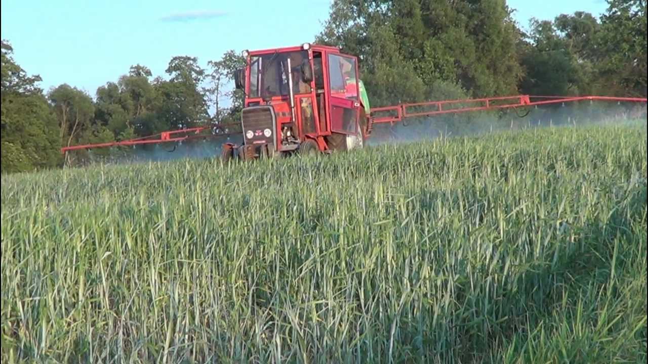 Chemicznie w sobotę czyli pryskanie 2012 odsłona 2//Miki1998575