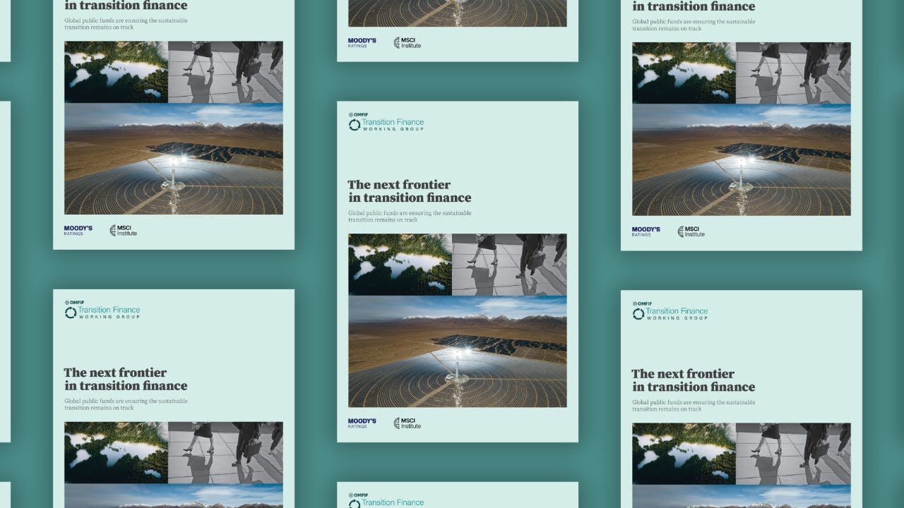 Transition Finance Working Group report launch