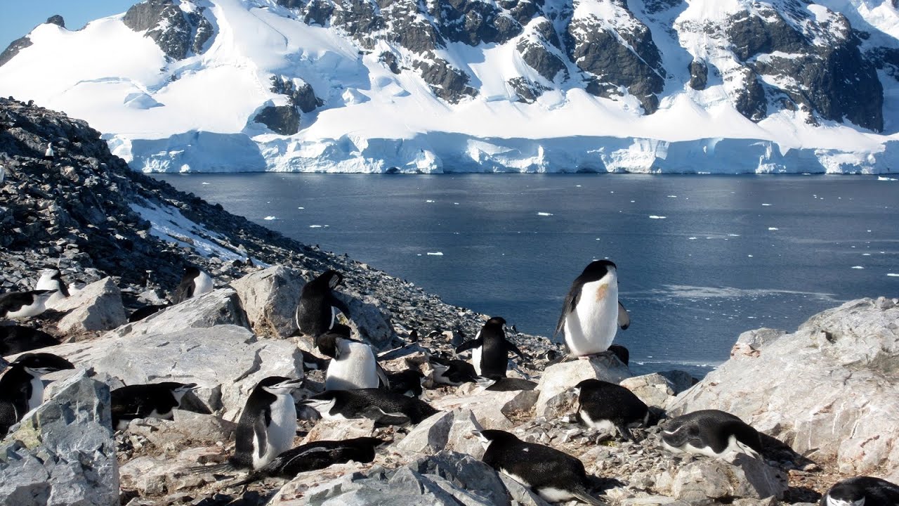 Polar Regions