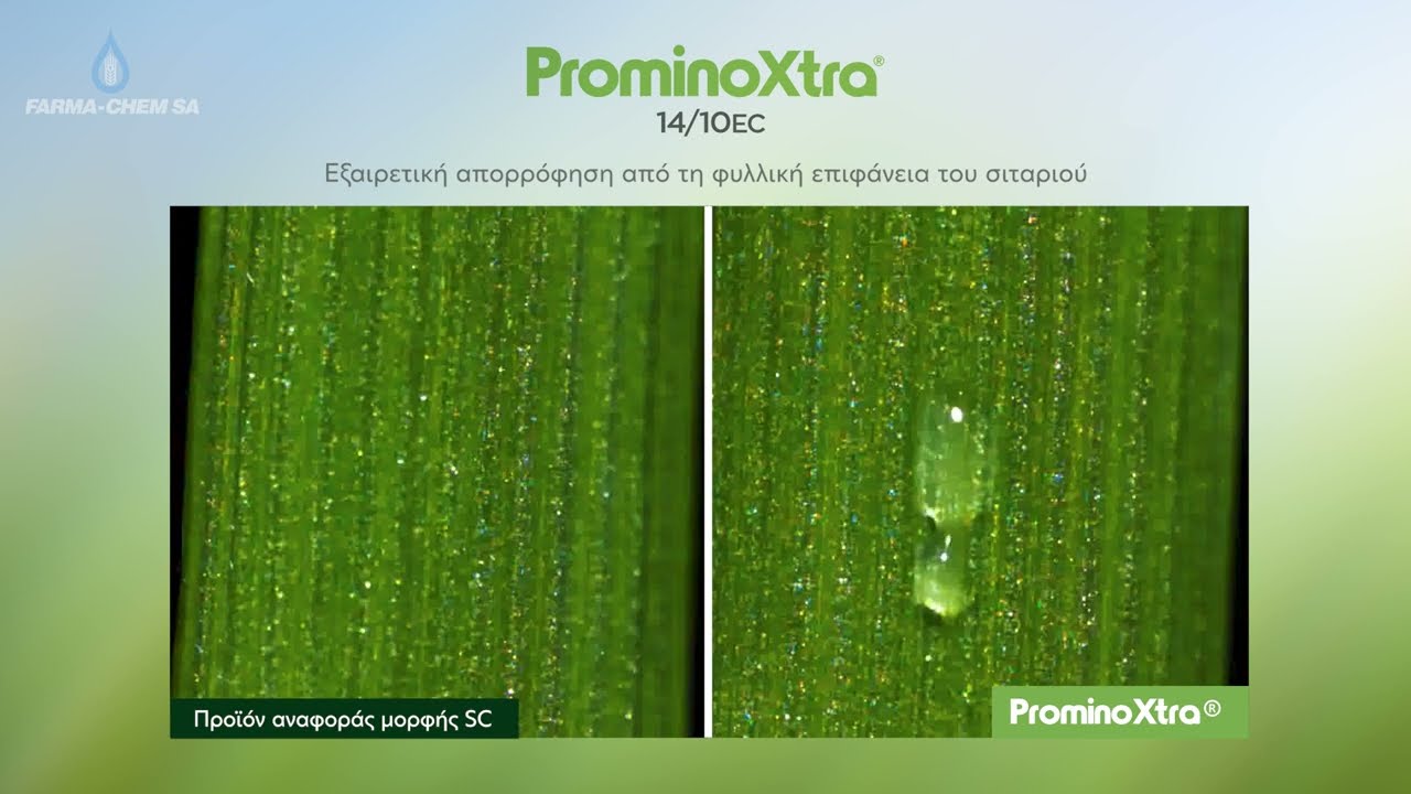ProminoXtra 14/10 EC