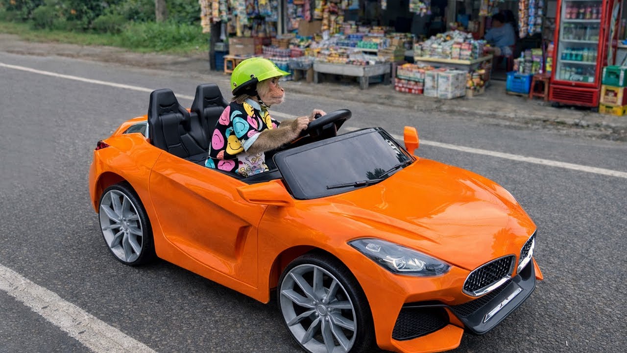 Unbelievable! Monkey Kyo Took Her Supercar to Buy Food for the Baby Monkey