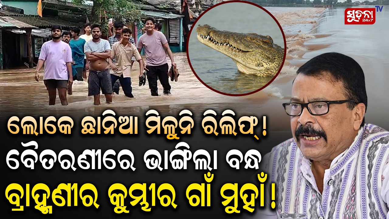 ଭଦ୍ରକରେ ବନ୍ୟା ଆତଙ୍କ, ଗାଁରେ କୁମ୍ଭୀର | Bhadrak Flood | Heavy Rain Odisha | Flood Update |