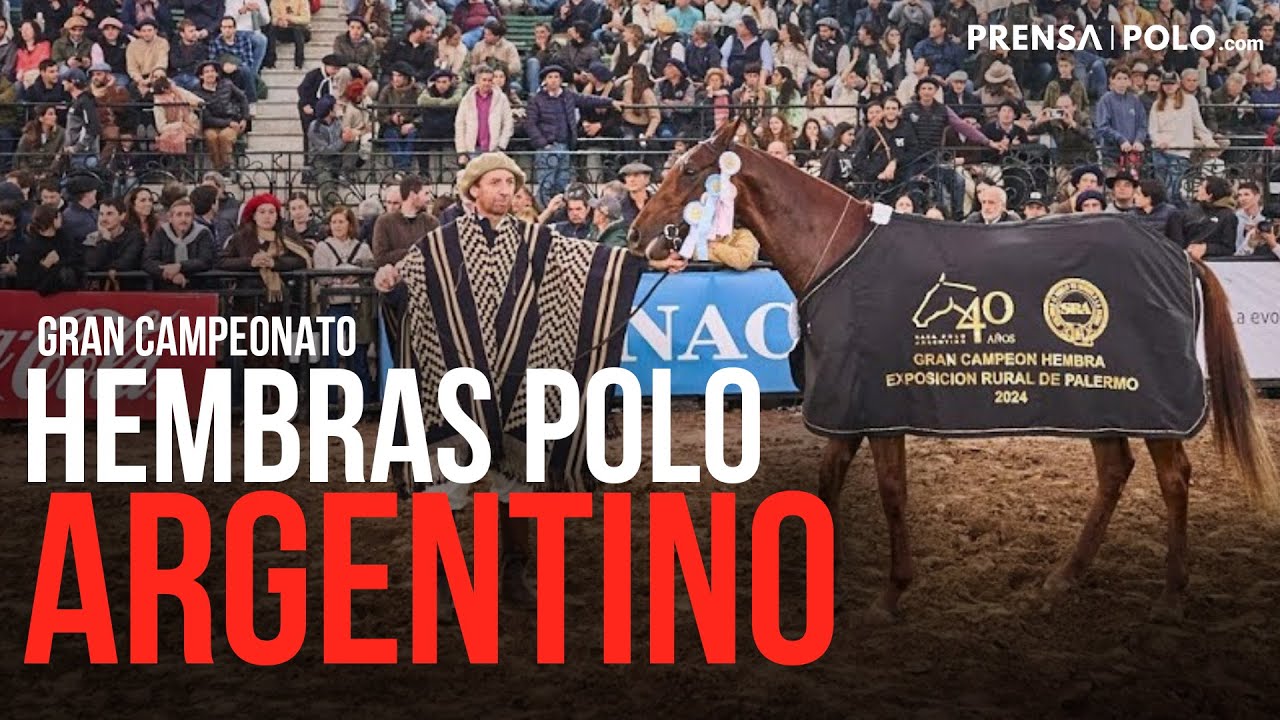 La Rural 2024: Gran Campeonato Hembras Polo Argentino