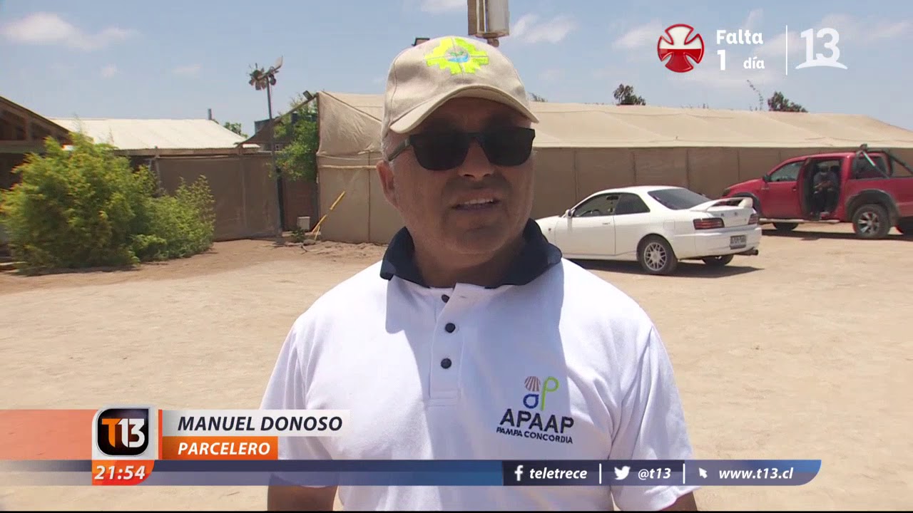 Cultivos en el desierto de Arica