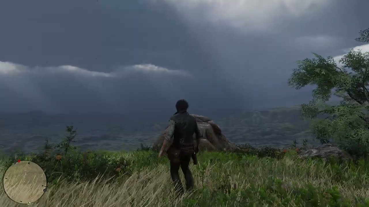 RDR2 // Caminando solo y bajo la lluvia en el desierto..